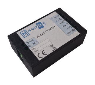 Access TIMER